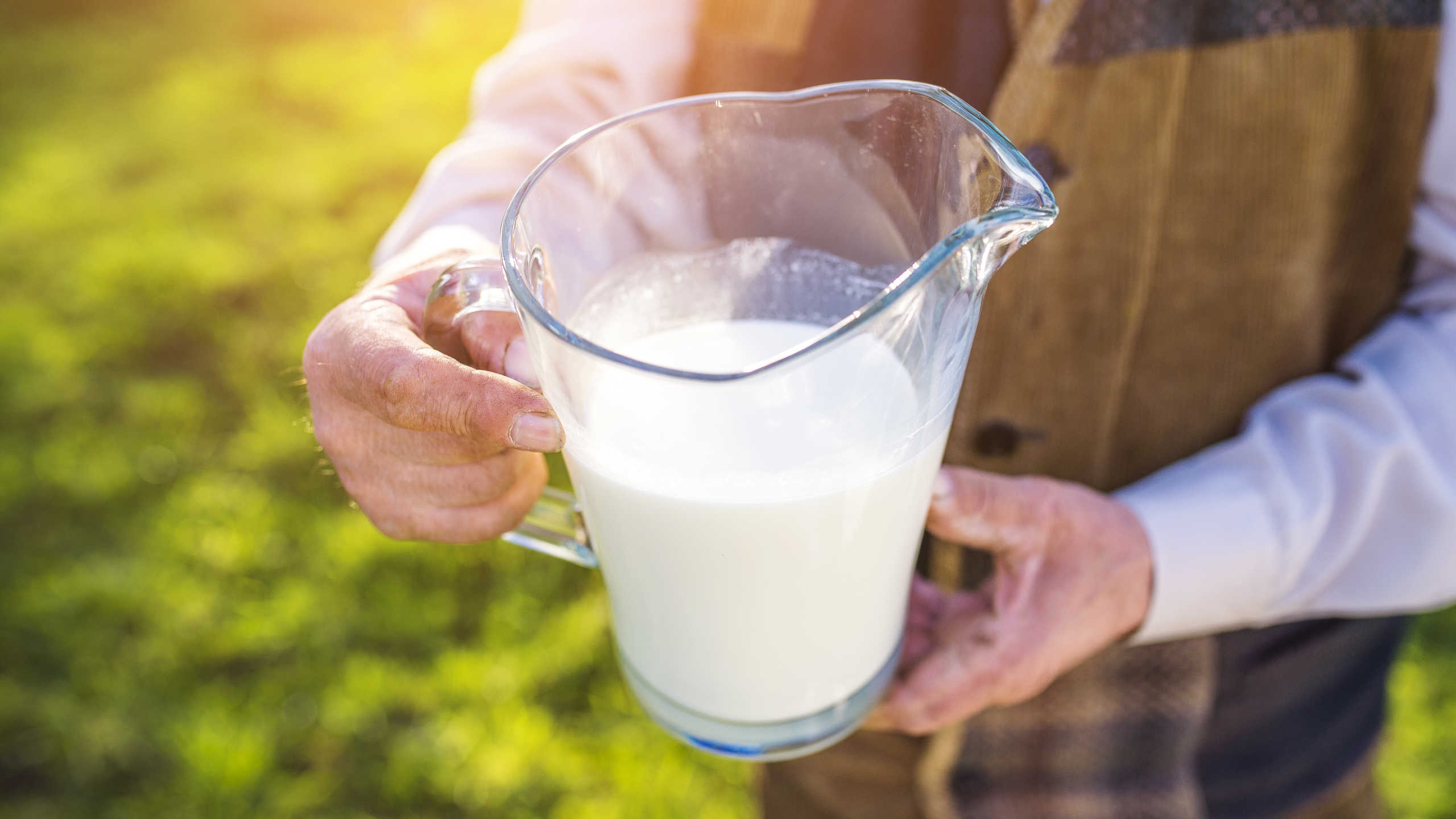 Zdravotní problémy z konzumace mléka